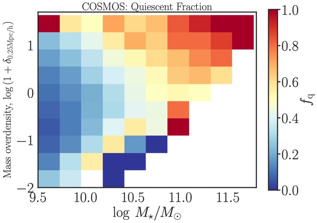 The Cosmic Web and the Role of Environments