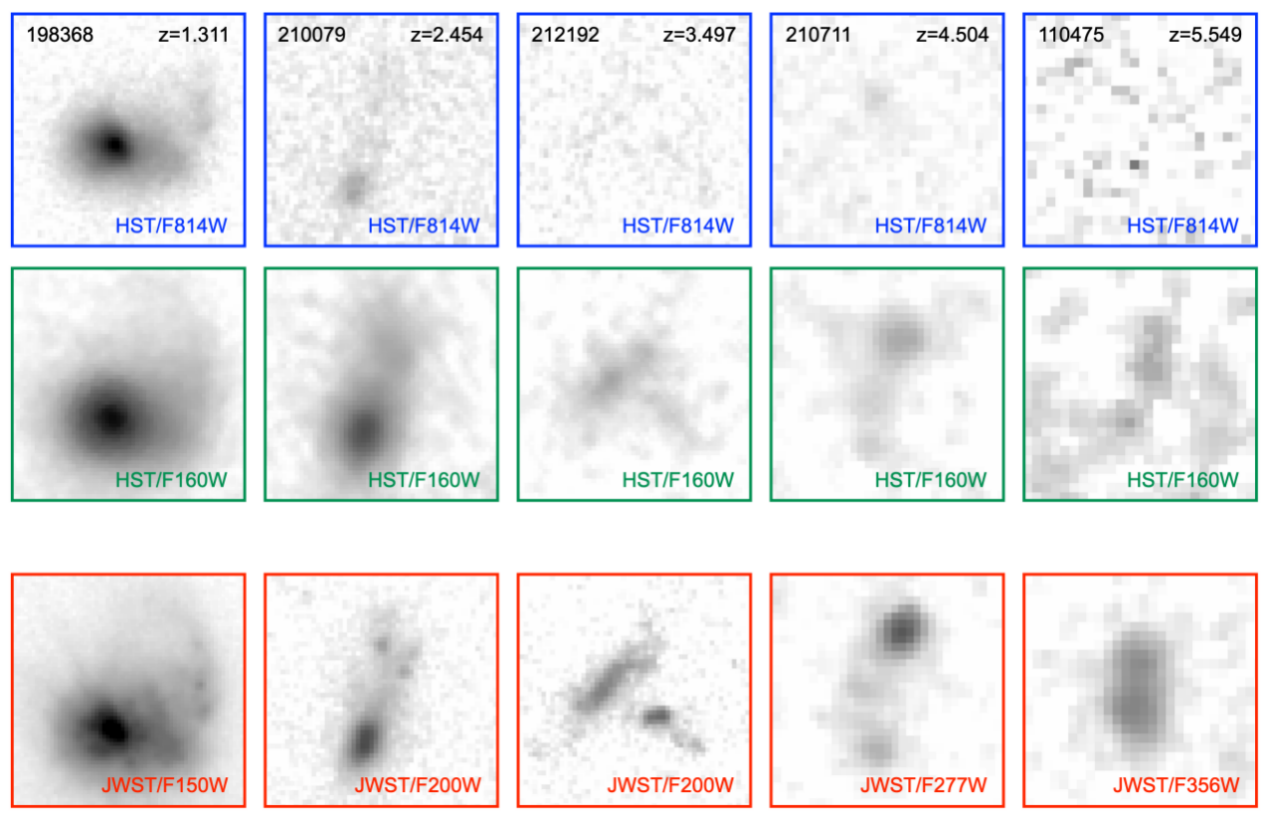 The Physical Nature of Galaxy Morphology and Structure