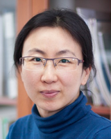 王菲鹿 F.L. Wang